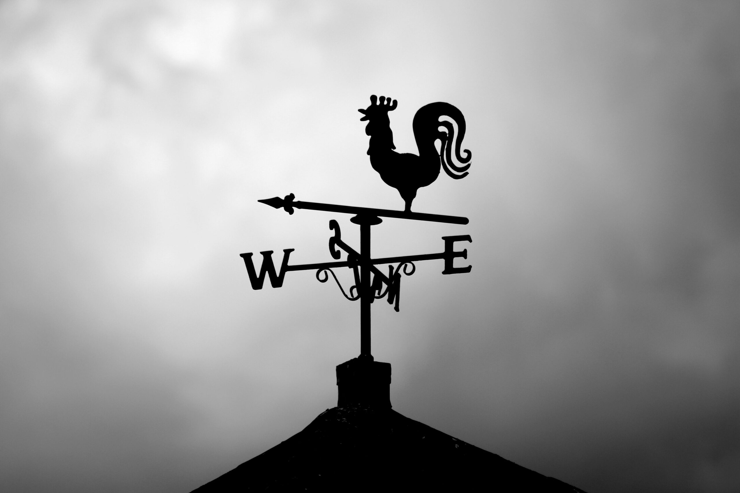 ostrosnet-winds-by-mat-brown